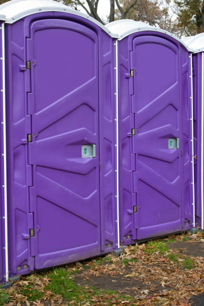 Best Deluxe Portable Toilet Rental in Carol Stream, IL